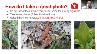 Citizen Science In (and Out) of the Classroom